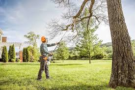 Best Storm Damage Tree Cleanup  in Royal City, WA