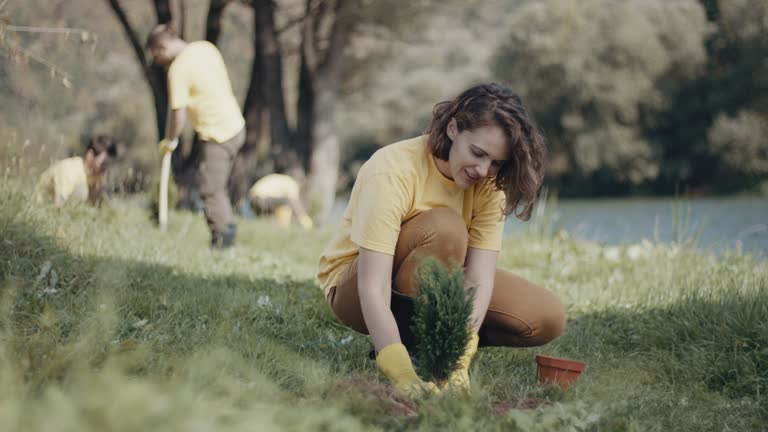 Best Organic Lawn Care Solutions  in Royal City, WA